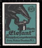 Elephants (78)